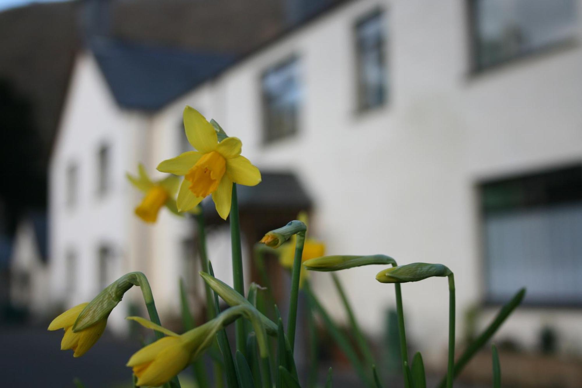 Padarn Apartment At Glanybala Holidays Llanberis Exterior photo