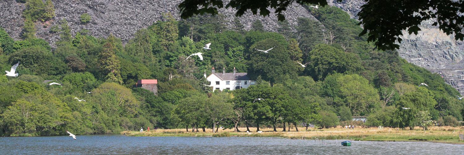 Padarn Apartment At Glanybala Holidays Llanberis Exterior photo